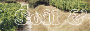 Soil and grape varieties