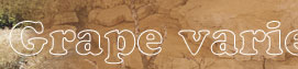 Soil and grape varieties