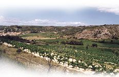 Massif de la Clape