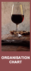 organisation chart