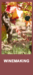 winemaking